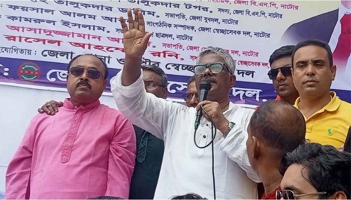 ক্ষমা চাইলেন বিএনপি নেতা দুলু