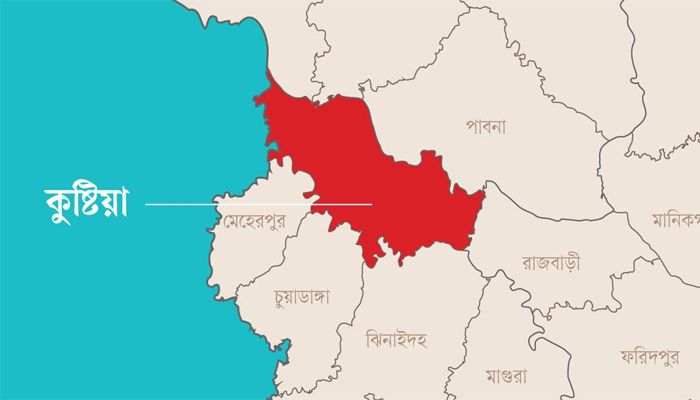 খোকসায় মাইক্রোবাস চাপায় ৪ শিশু নিহত