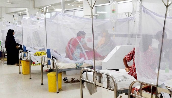 ২৪ ঘণ্টায় হাসপাতালে ভর্তি ৬১৫ ডেঙ্গু রোগী