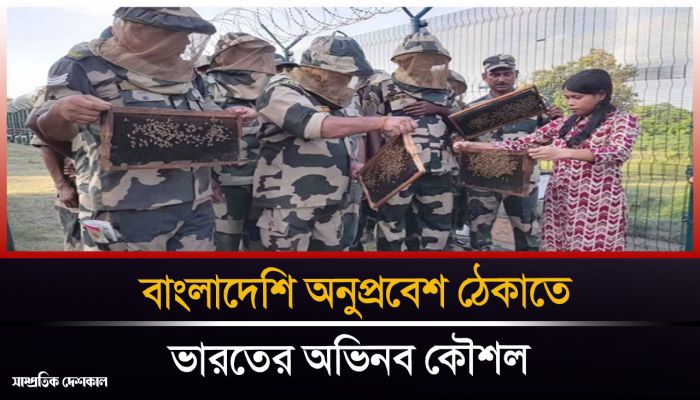 বাংলাদেশি অনুপ্রবেশ ঠেকাতে সীমান্তে মৌমাছি মোতায়েন করেছে ভারত