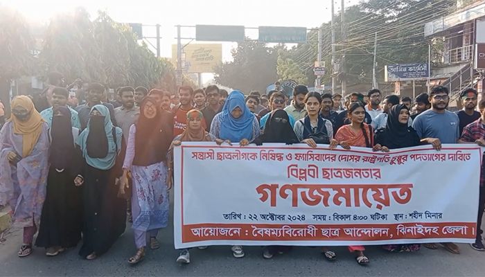 ঝিনাইদহে রাষ্ট্রপতির পদত্যাগ দাবিতে বিক্ষোভ