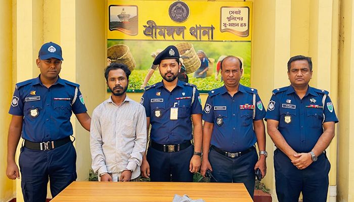 ছিনতাইকারীদের চিনে ফেলায় হত্যা করা হয় টমটম চালককে