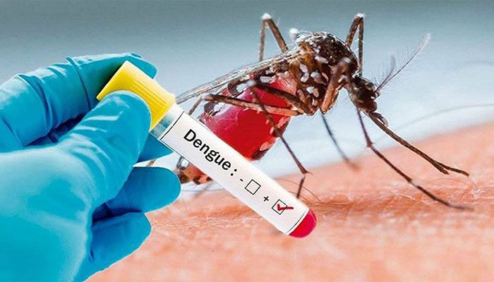 ডেঙ্গু আক্রান্ত হয়ে ২৪ ঘণ্টায় হাসপাতালে ৩১৭ জন  