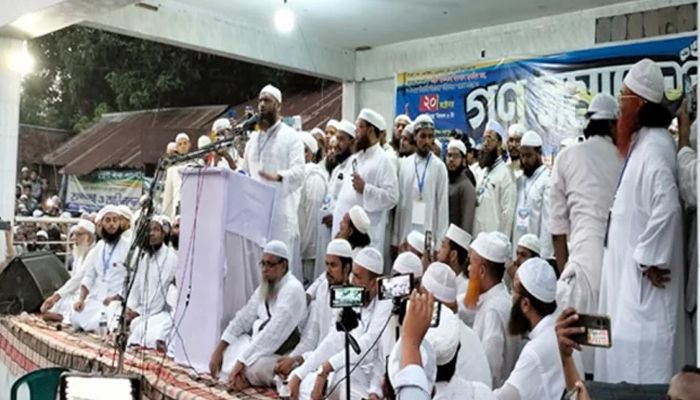 আওয়ামী লীগের বিরুদ্ধেও প্রতিশোধ নিয়েছে হাসিনা: মামুনুল 