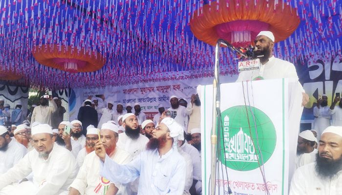 ফ্যাসিবাদের বিরুদ্ধে সব দলকে ঐক্যবদ্ধ থাকার আহ্বান মামুনুলের