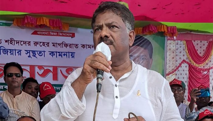 আ.লীগের সিন্ডিকেটের কারণে দ্রব্যমূল্যের ঊর্ধ্বগতি: বিএনপি নেতা দুলু 