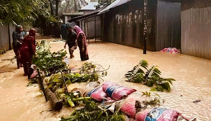 শেরপুরে নদীর বাঁধ ভেঙে নিচু এলাকা প্লাবিত