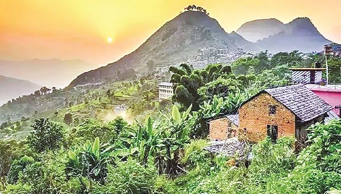 যে গ্রামে সাপ মানুষের বন্ধু