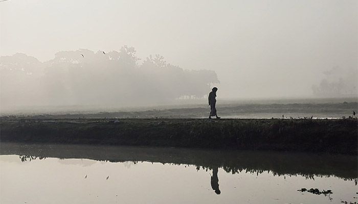 কুয়াশার চাদরে মোড়া প্রকৃতি