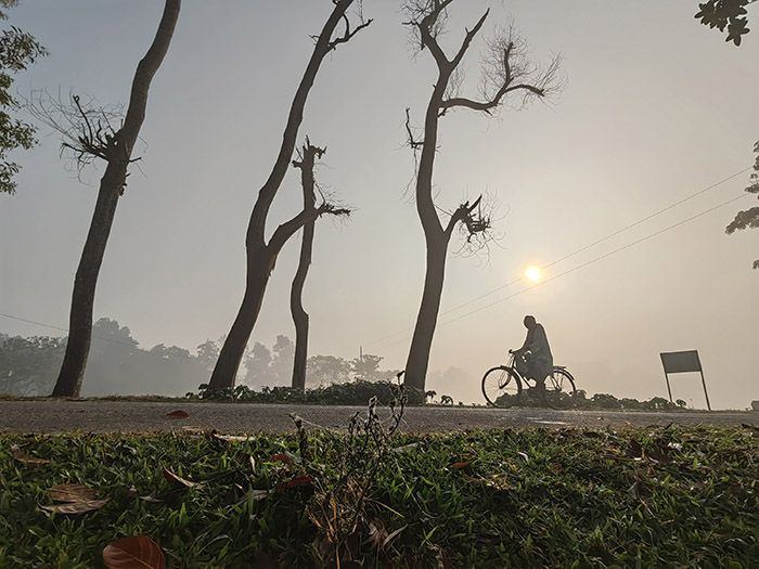 কুয়াশার চাদরে মোড়া প্রকৃতি