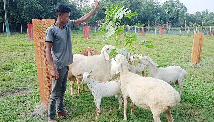 তাহেরপাড়ার মিনি চিড়িয়াখানা