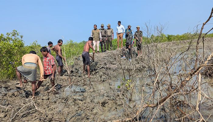 মহেশখালীতে ২৫ একর সরকারি জমি দখলমুক্ত