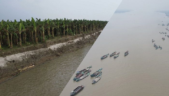নদী ভাঙনের মধ্যেই পদ্মায় আবারো বালু উত্তোলন