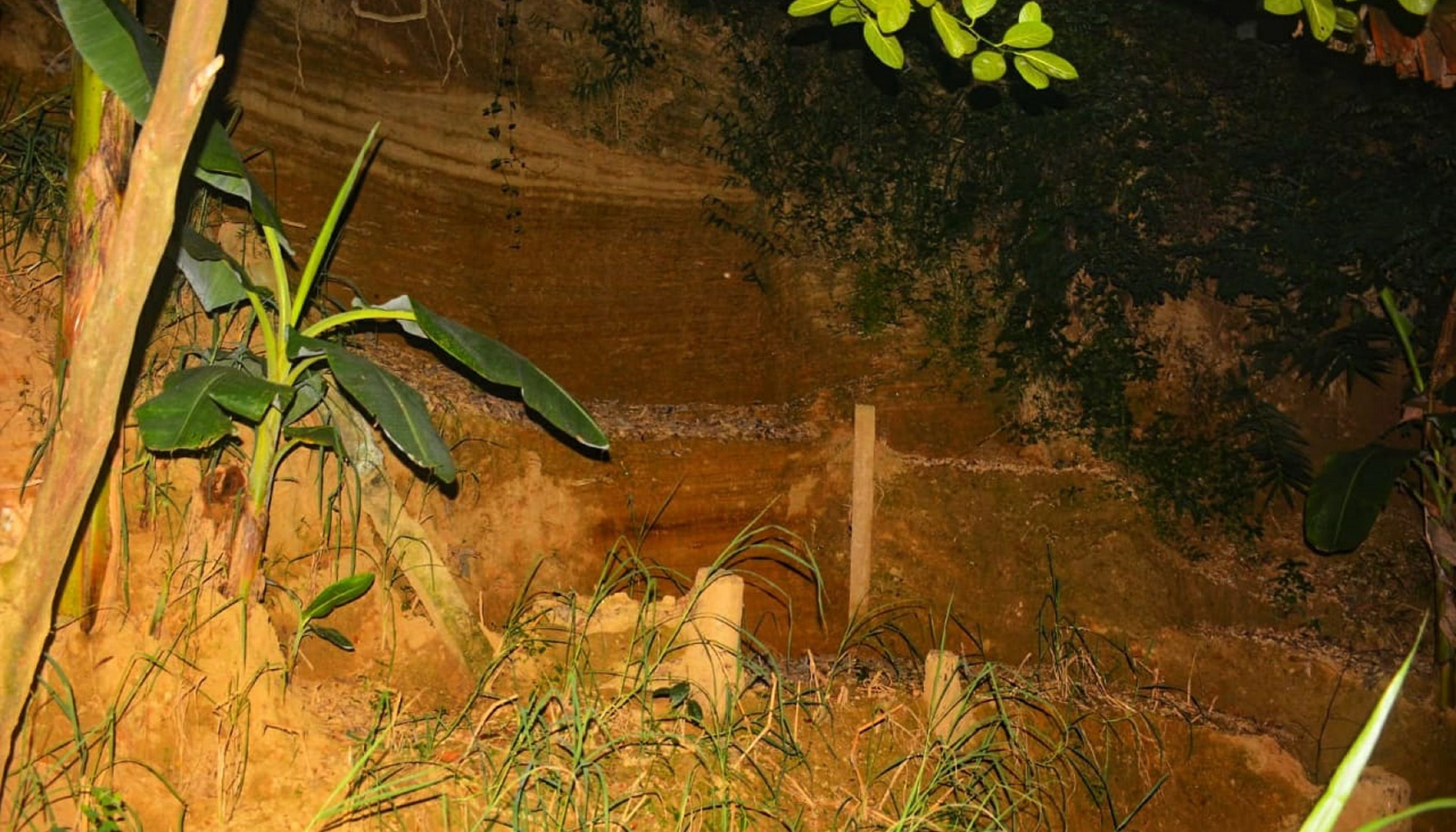 পাহাড় কেটে সাফ