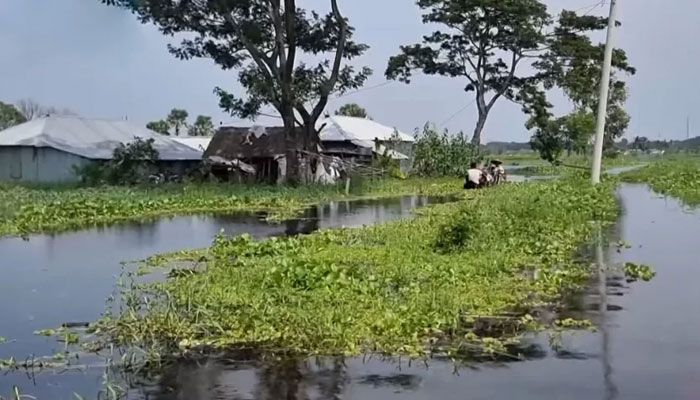 বিল ডাকাতিয়ায় জলাবদ্ধতা, ঝুঁকিতে এলাকাবাসী