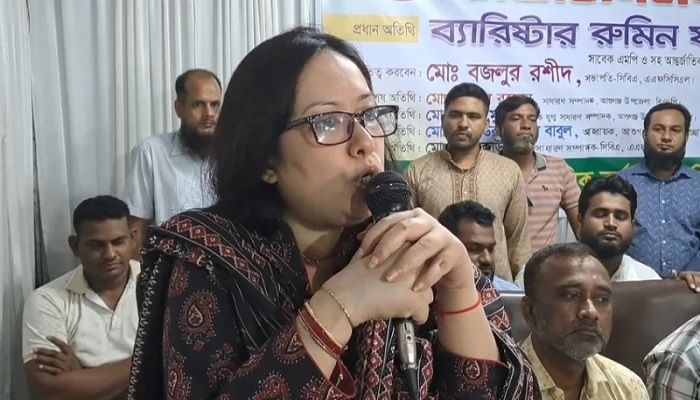 অন্তর্বর্তী সরকার নিজেকে ব্যর্থ করলে বিএনপির কিছু করার নেই: রুমিন