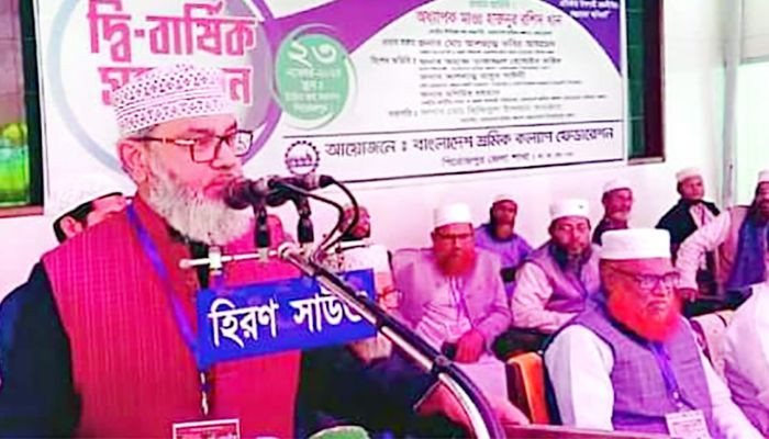 ক্ষমতায় যারাই এসেছেন তারাই দেশকে লুটে খেয়েছেন: মাসুদ সাঈদী