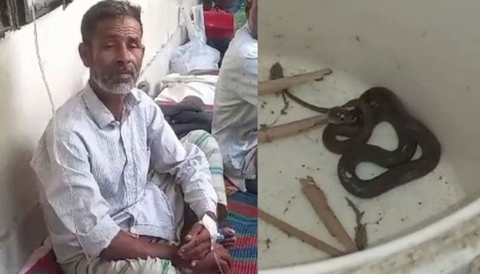 কামড় দেওয়া জীবিত সাপ নিয়েই হাসপাতালে রফিকুল 