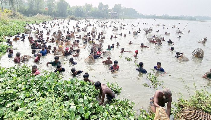 চলনবিলে শৌখিন মৎস্য শিকারীদের পলো উৎসব