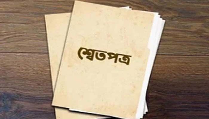 রবিবার জমা দেওয়া হবে অর্থনীতির শ্বেতপত্র  