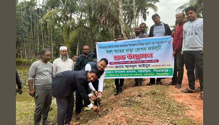 বজ্রপাত মোকাবিলায় ৬ কি.মি. সড়ক জুড়ে তালের বীজ বপন