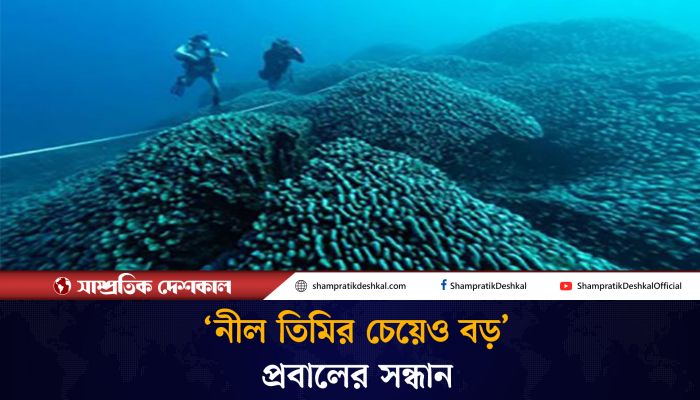 সবচেয়ে বড় প্রবালের সন্ধান মিলল প্রশান্ত মহাসাগরে