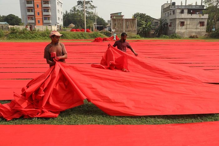 সবুজ গালিচায় লালসালুর আলপনা