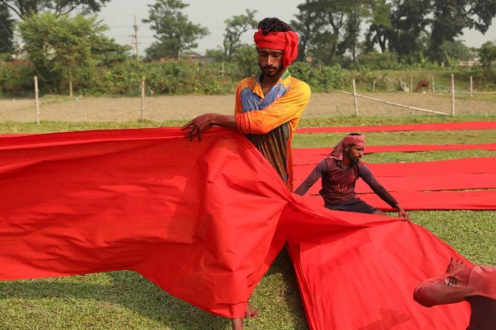 সবুজ গালিচায় লালসালুর আলপনা
