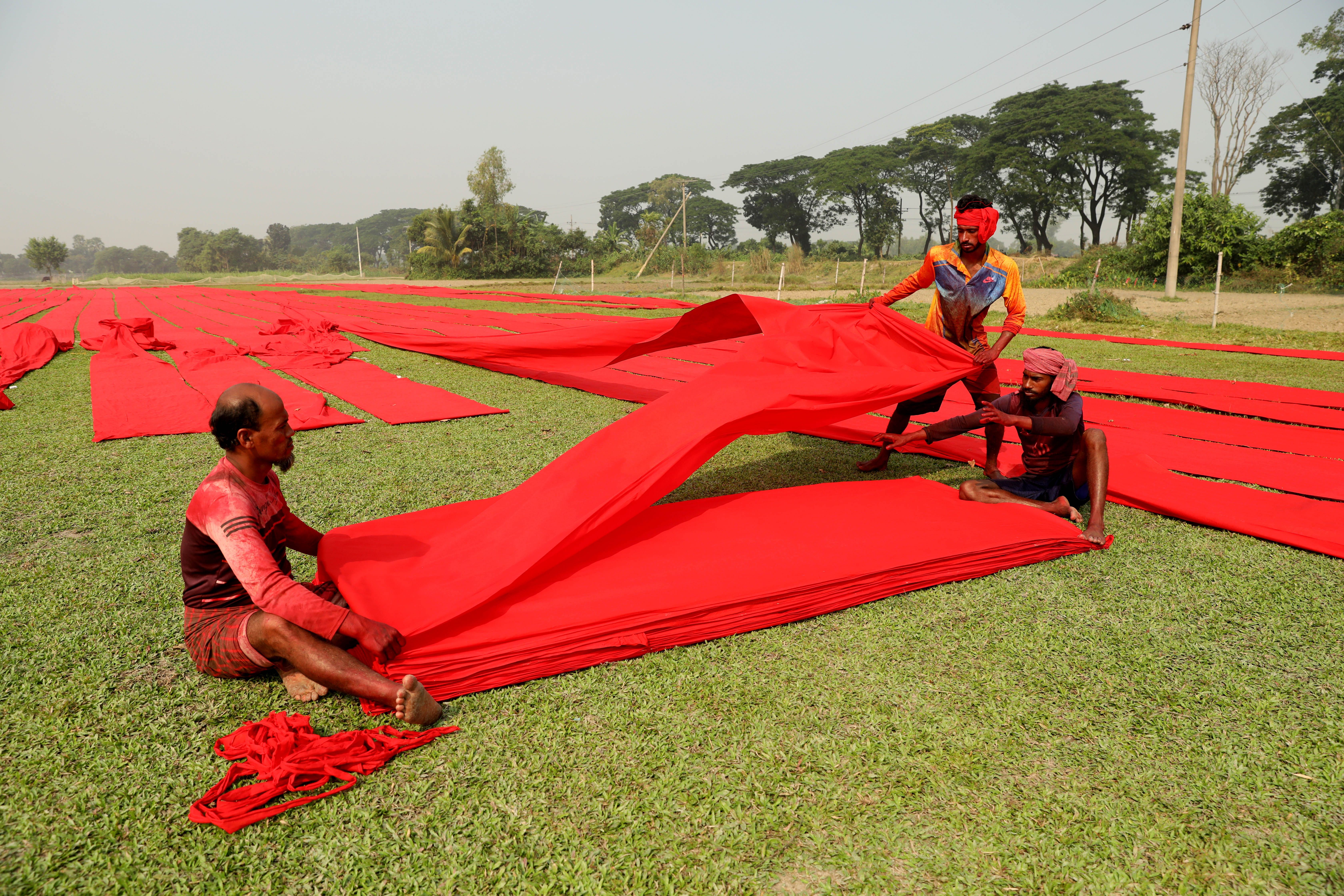 সবুজ গালিচায় লালসালুর আলপনা