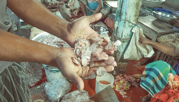 ফেলনা নয় মাছের আঁশ