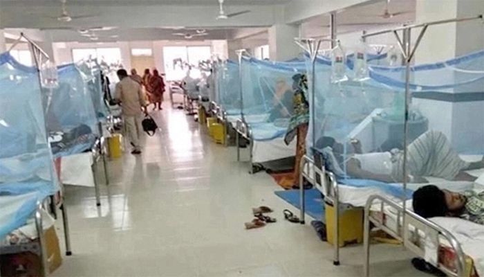 ডেঙ্গুতে আরও ৪ জনের মৃত্যু, হাসপাতালে ২৪১