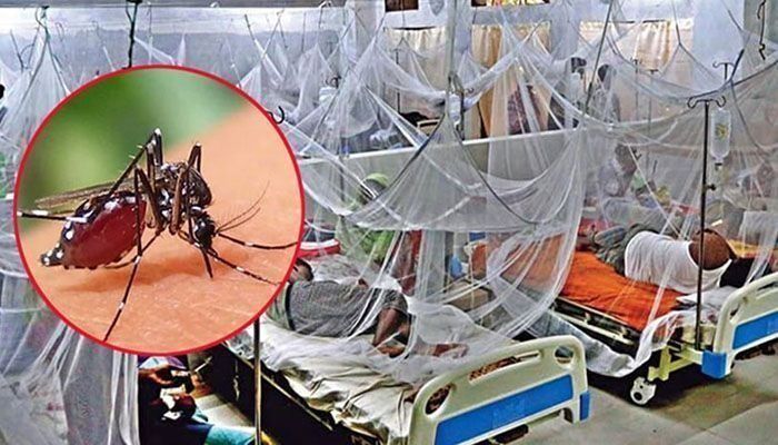ডেঙ্গুতে আক্রান্ত ৯৯ হাজার ছাড়াল