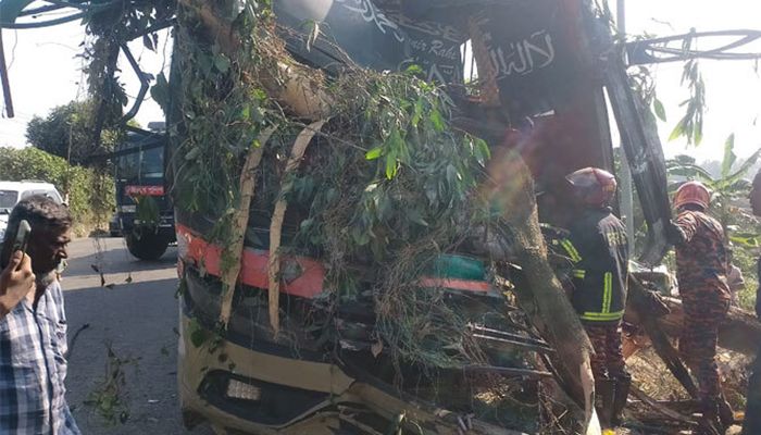 কুমিল্লায় নিয়ন্ত্রণ হারিয়ে গাছে বাসের ধাক্কা, নিহত ৩  