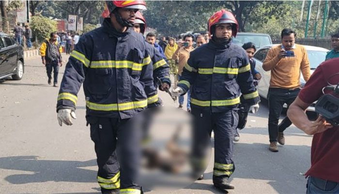 সচিবালয়ের ৮ম তলায় মিলল কুকুরের পোড়া মরদেহ