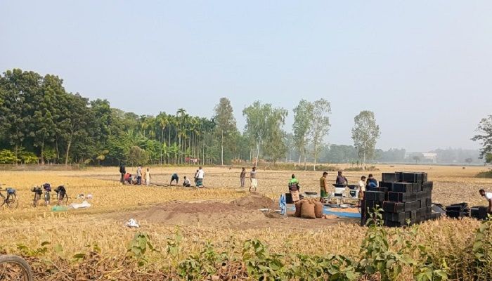 দেশের সর্বনিম্ন তাপমাত্রা পঞ্চগড়ে