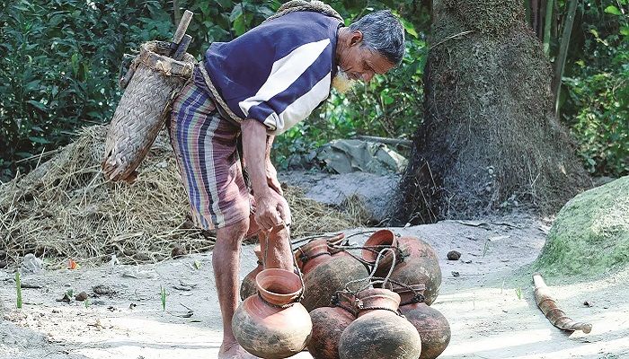 পেশা ছাড়ছে গাছিরা