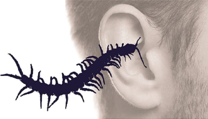 হিমশীতল ভোর ও একটি চ্যালা
