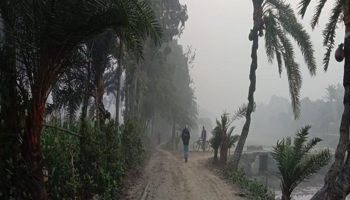 চুয়াডাঙ্গায় তাপমাত্রার পারদ নামল এককের ঘরে