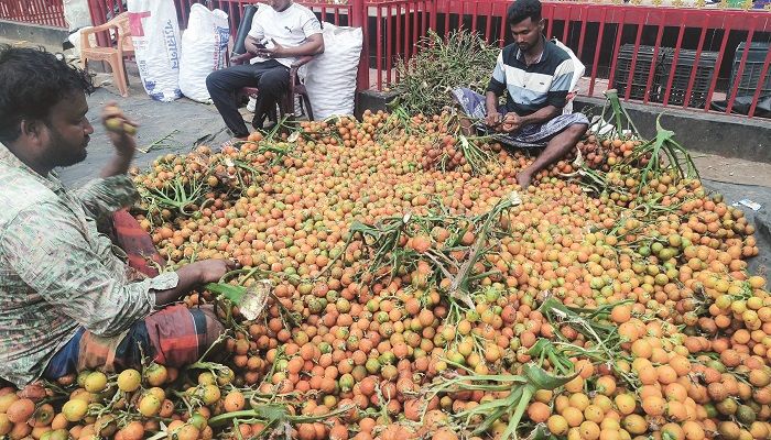 বিদেশে রপ্তানি হচ্ছে কক্সবাজারের সুপারি