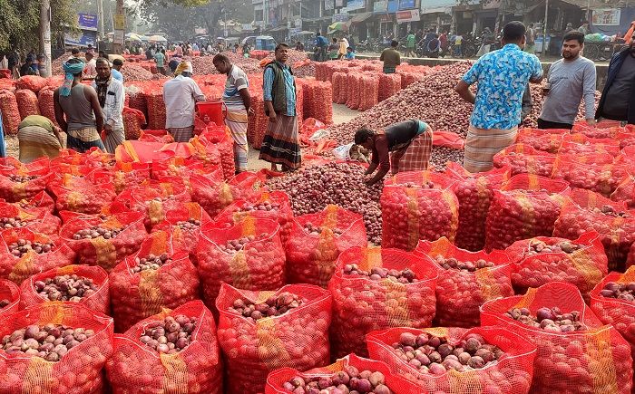 মুড়িকাটা পেঁয়াজের ব্যাপক দরপতন