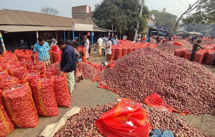মুড়িকাটা পেঁয়াজের ব্যাপক দরপতন