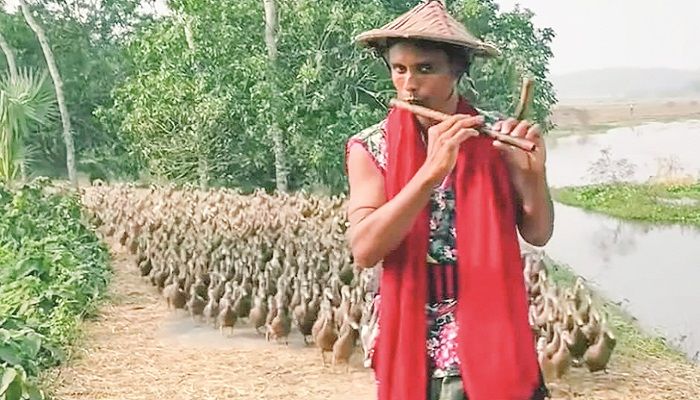 ﻿হ্যামিলনের বাঁশিওয়ালা। ছবি: সংগৃহীত