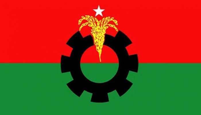 বাংলাদেশ জাতীয়তাবাদী দলের লোগো। ফাইল ছবি 