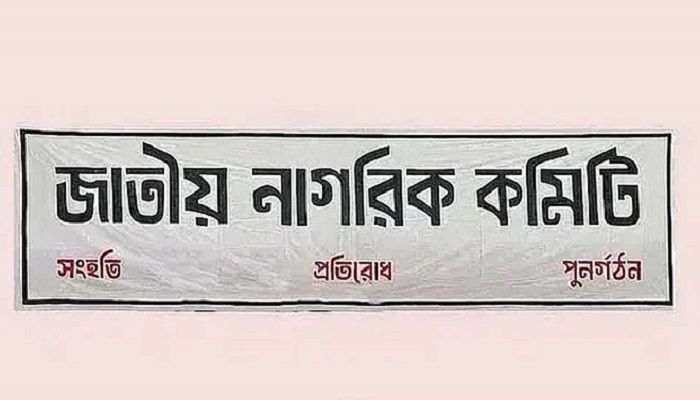জাতীয় নাগরিক কমিটি। ফাইল ছবি