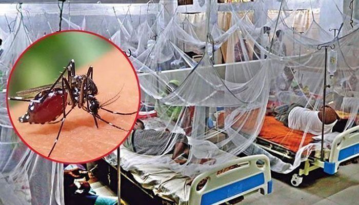 ডেঙ্গুতে আরও একজনের মৃত্যু, হাসপাতালে ৫৭