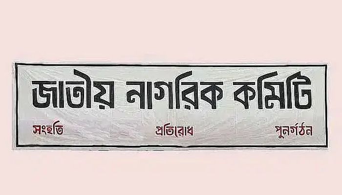 সাইবার সুরক্ষা অধ্যাদেশের কড়া সমালোচনা নাগরিক কমিটির