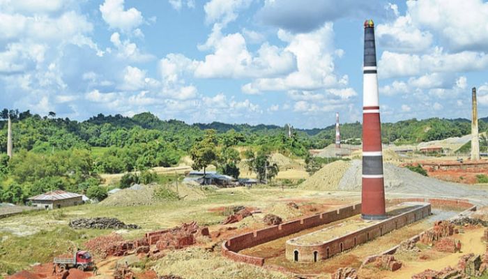 পরিবেশের ভারসাম্য রক্ষায় এ ধরনের অভিযান অব্যাহত থাকবে। ছবি: সংগৃহীত  