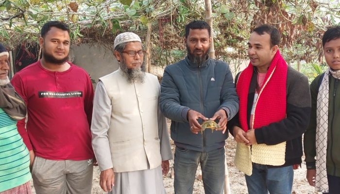 পথ হারানো কচ্ছপ ও পেঁচা ছানাগুলো নীড়ে ফিরে গেল