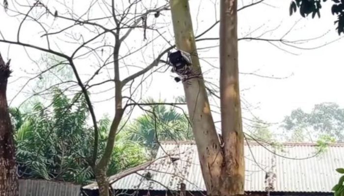 সিসি ক্যামেরা। ছবি- কুড়িগ্রাম প্রতিনিধি