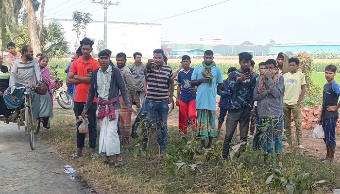দুর্ঘটনাস্থল ঝিনাইদহের মহেশপুরের গোয়ালহুদা। ছবি: ঝিনাইদহ প্রতিনিধি